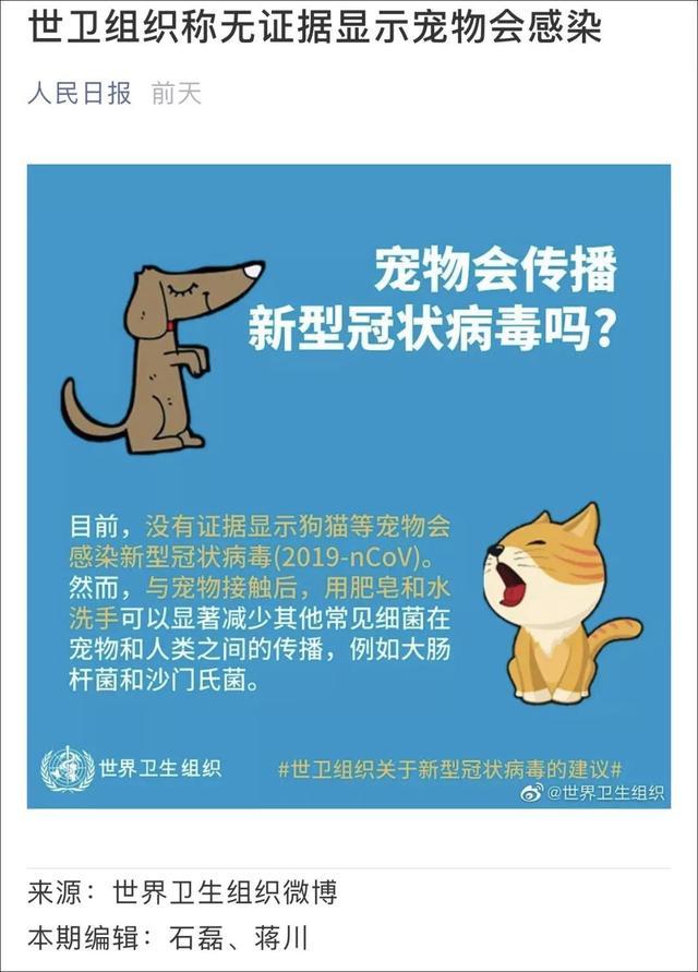 “趁我被隔离检查，社区把我的猫活埋了！”