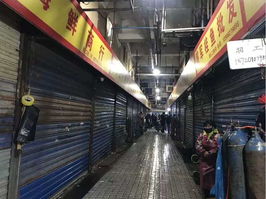 武汉不明原因肺炎患者已隔离治疗，海鲜城休市整治