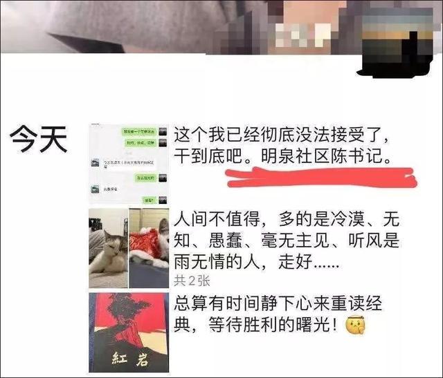 “趁我被隔离检查，社区把我的猫活埋了！”