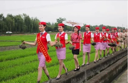 青岛空姐穿制服体验下地插秧！网友直呼辣眼睛