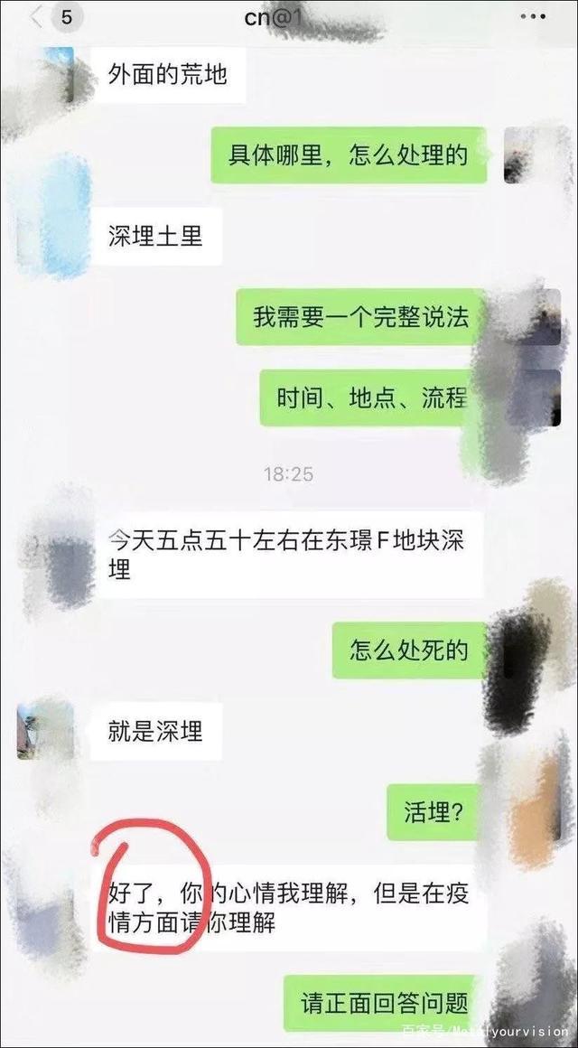 “趁我被隔离检查，社区把我的猫活埋了！”
