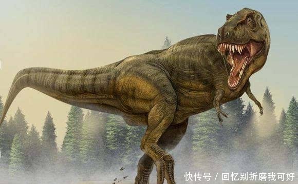霸王龙并非最大肉食恐龙,这三种恐龙与其不相伯仲,有一种在我国