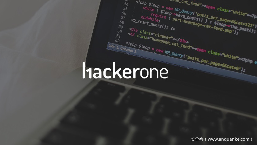hackerone2018年全球白帽黑客收入调查报告