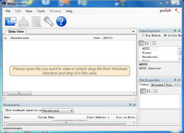 Binary Viewer
