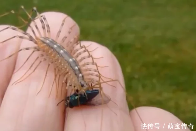 登錄查看大圖