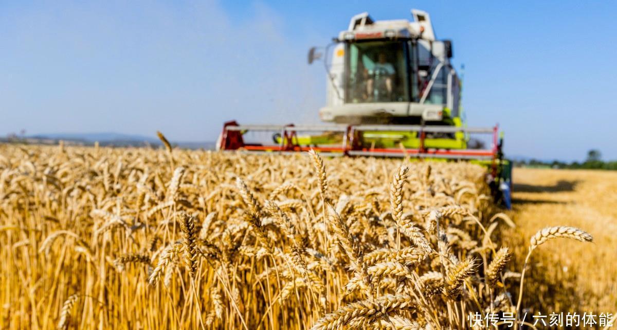 中国在农业的发展