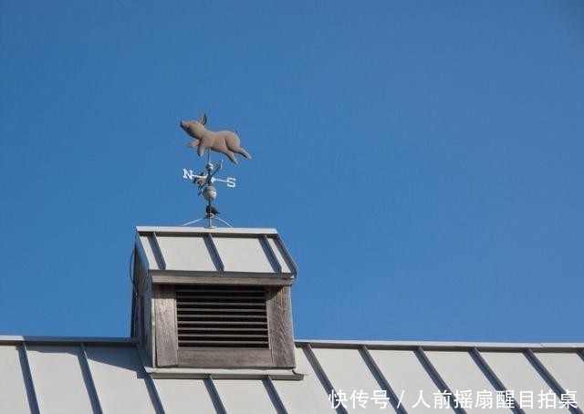 共享单车带动共享