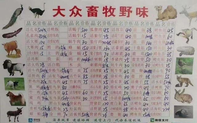 武汉华南海鲜市场总裁幕后家族 女老板名下29家公司