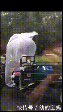 什么动物春天来了