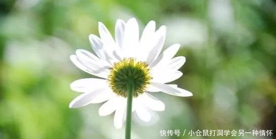 怎么祝福微信好友跨年