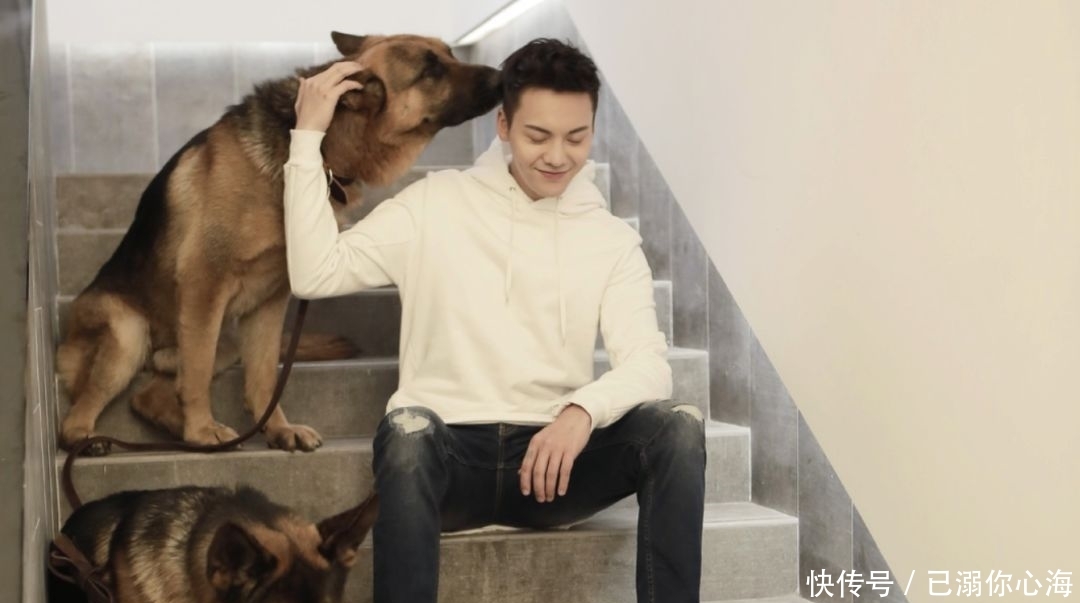 陈伟霆钟楚曦动图小说