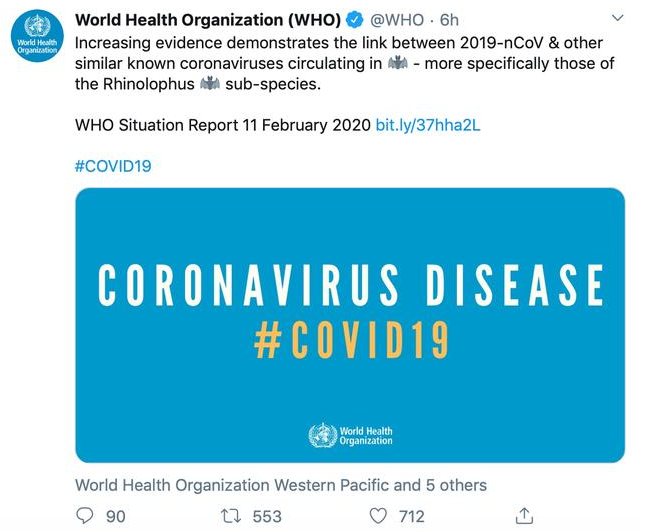 新冠病毒与菊头蝠病毒有关联 世卫组织命名新冠病毒