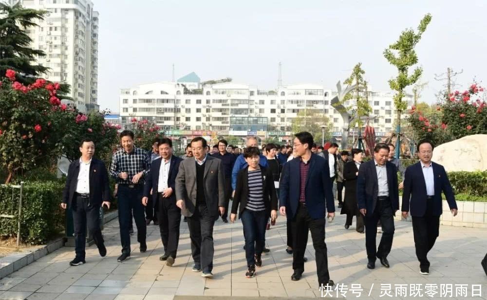 2019主要工作情况