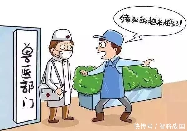 非洲非洲猪瘟疫情现状