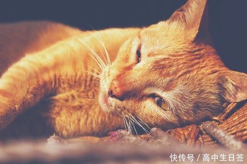 考试啊考试作文