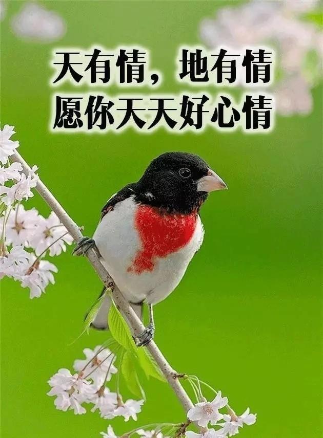 致朋友跨年的文案