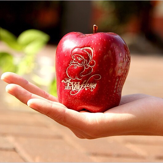 传递爱的艺术苹果