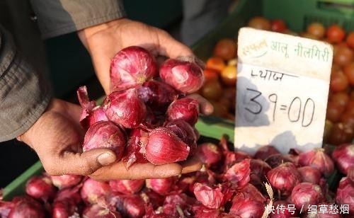 洋葱对于印度