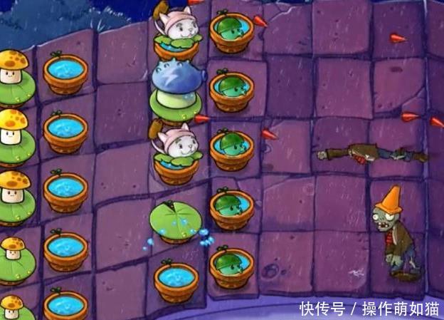 植物大战僵尸:被隐藏起来的神秘植物,雷霆菇,水盆你都听过吗?