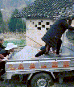 飞机机长飞机班