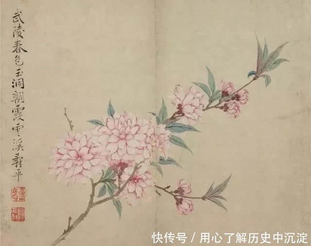 桃花什么桃花源