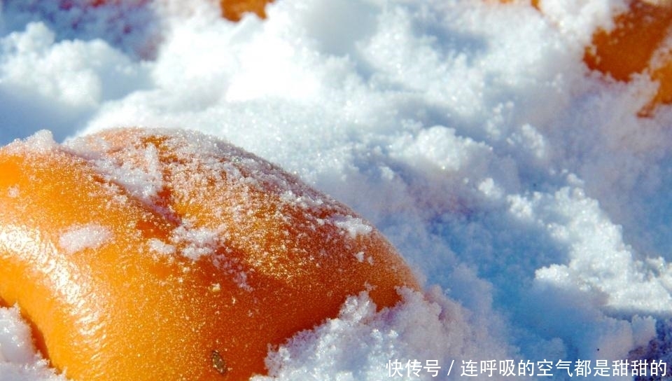 雪乡今年的价格