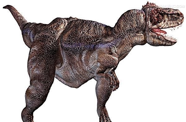食肉恐龙肉食图片