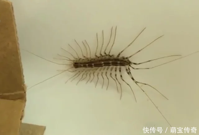 登錄查看大圖