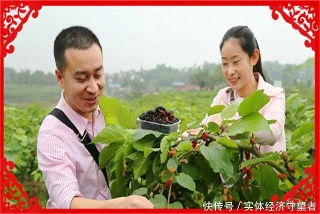 目前农村,做什么项目一年能赚30万?这几种都可以