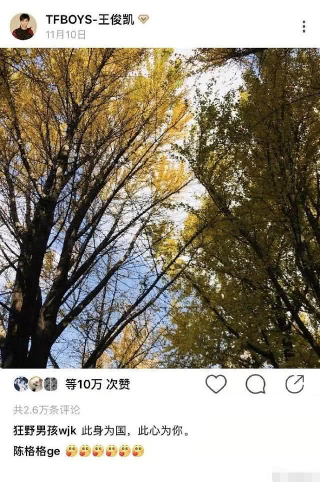 t01846d68d905260fef.jpg?size=640x963