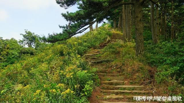 大别山主峰,不在天柱山、天堂寨,而是在尚未被开发的“处女地”【2020热门旅游景点】