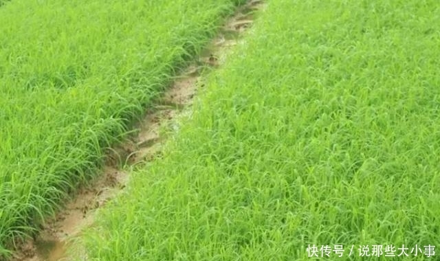 在播种之前我们需要做