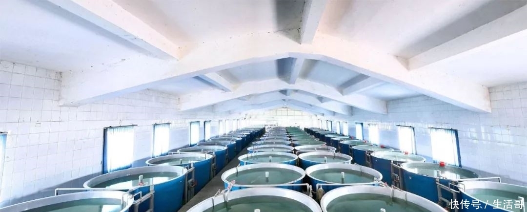 2020年农业农村工作