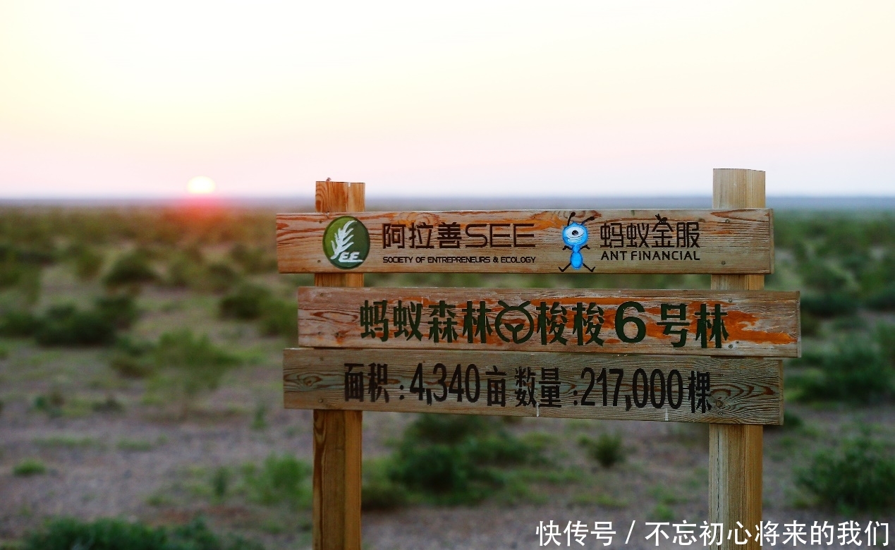 蚂蚁森林获得联合国什么奖