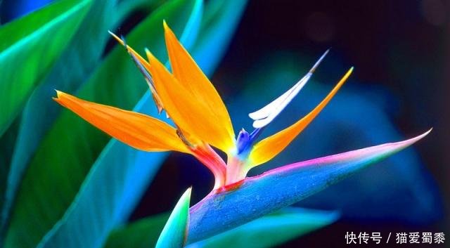 没有没有的句子