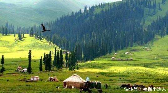 居民养老保和职工养老保