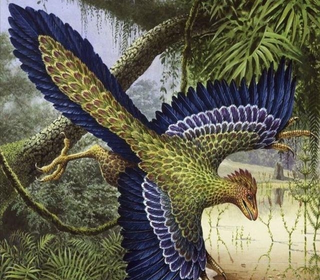 科莫多龙和恐龙很相似,是恐龙后代吗?其实这一物种才是恐龙后裔