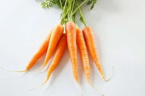 炒菜也需谨慎！胡萝卜和这两类蔬菜同吃竟然有害健康？