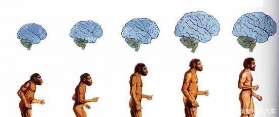 人类本身进化