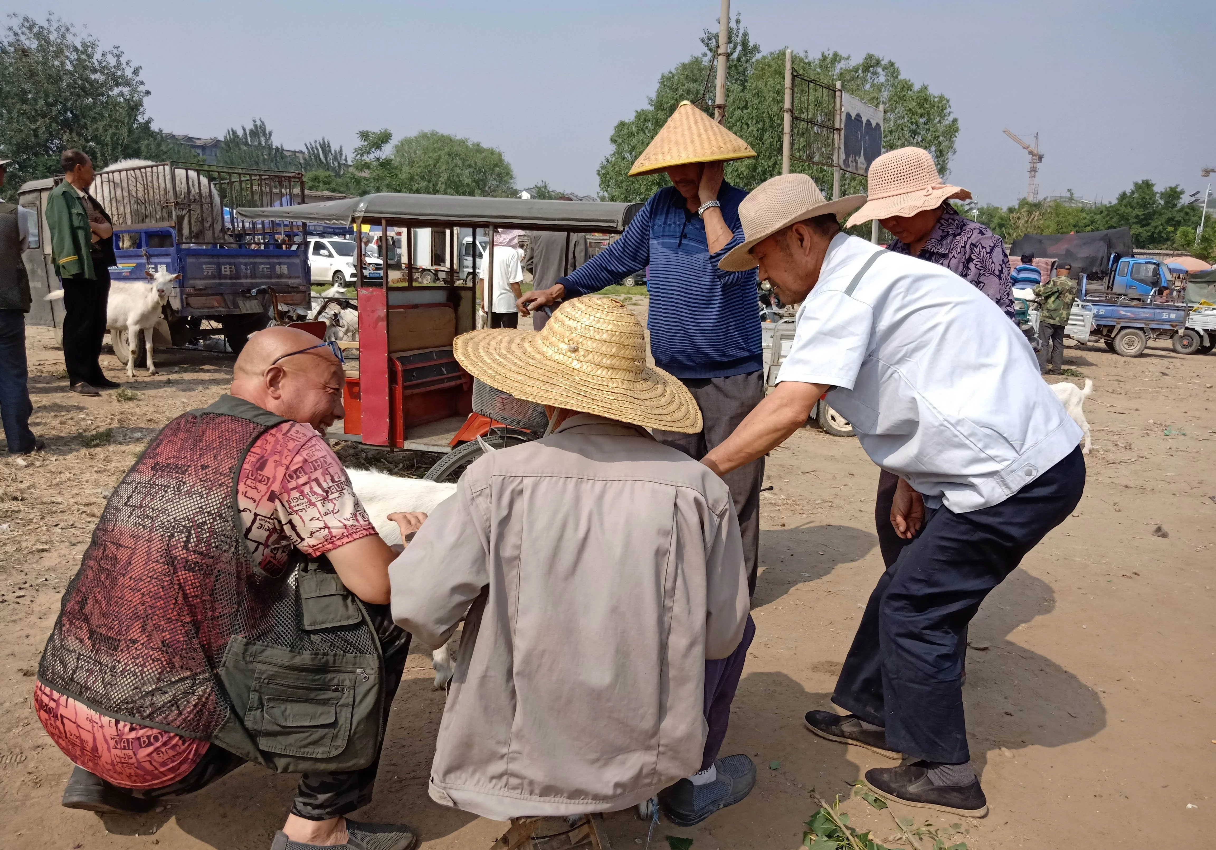 农村大爷卖2个多月小羊羔,两次“逃”回“老窝”,看着同伴远去