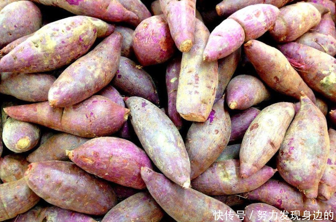 烤山芋吃了好吗