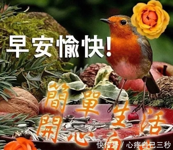 2019祝福语录经典跨年