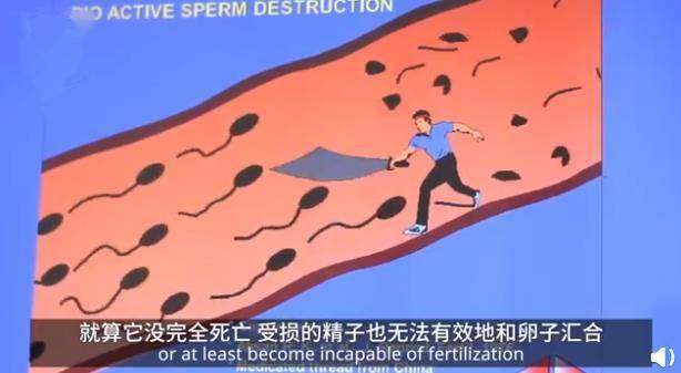 t01c02f561c31b1d9ab.jpg?size=614x337