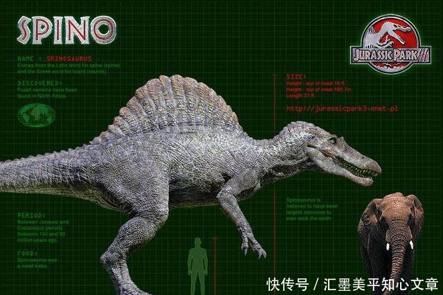 史上最强的肉食类恐龙排名,霸王龙第二,特暴龙只能排最后一名