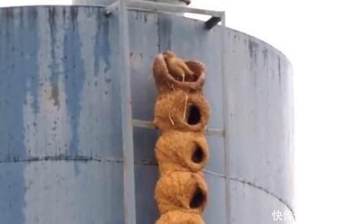 t01c24d8e2cd17852d2.jpg?size=528x327