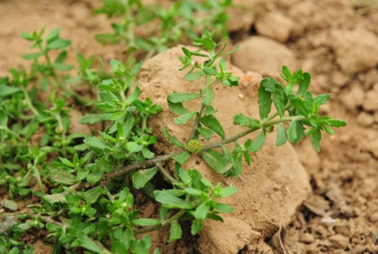 博客搜索_新浪搜索_新浪网