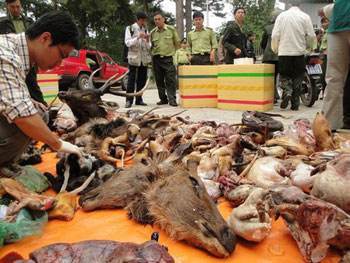 禁止野生动物交易 远离“野味”