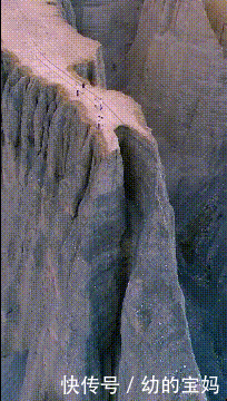 什么动物春天来了