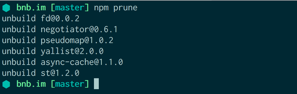在 Node 项目中运行 npm prune