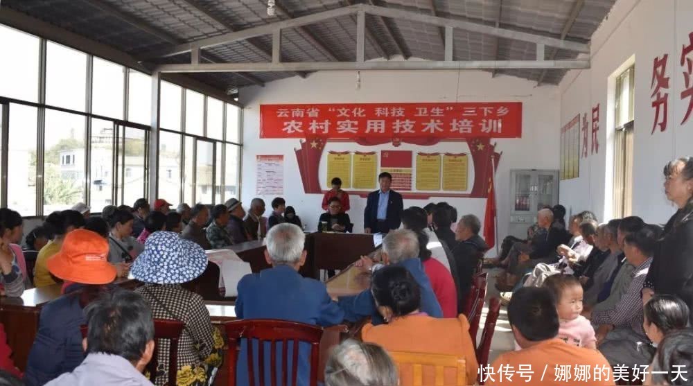 为建设美丽乡村服务